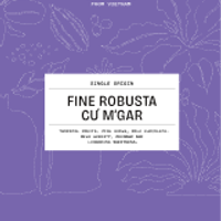 Fine Robusta Cư M’gar Natural